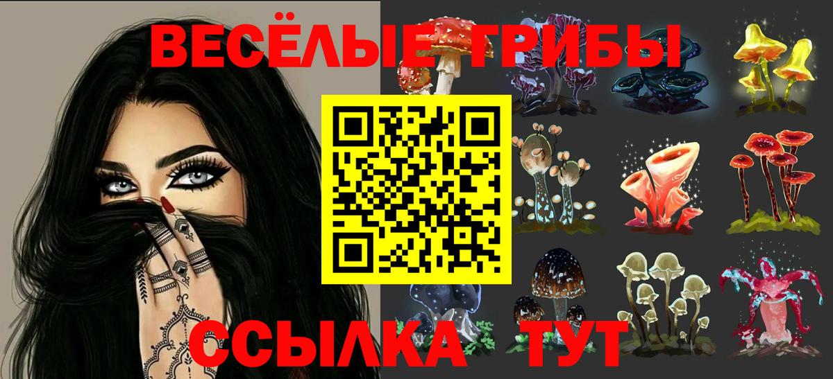 Псилоцибиновые грибы Cubensis Минусинск