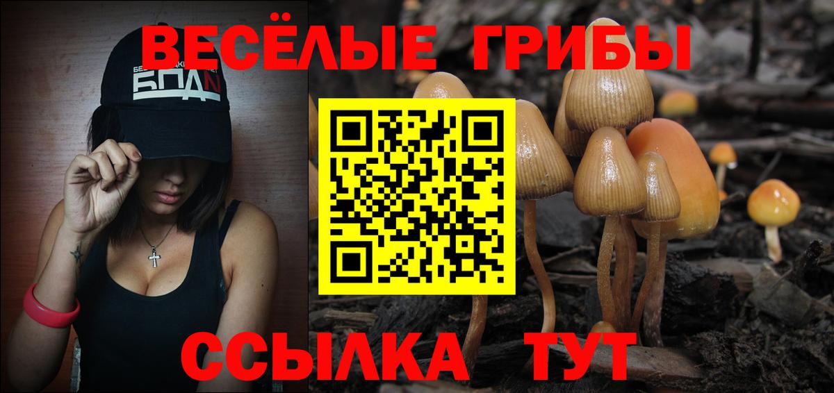 Псилоцибиновые грибы Cubensis  Галлюциногенные грибы Psilocybine cubensis  Минусинск  Вход с VPN 